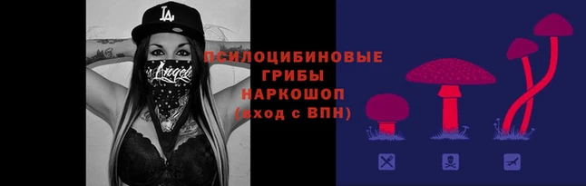 наркотики Белоозёрский