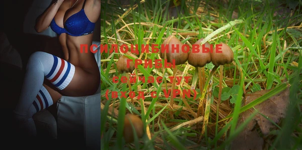 амф Белокуриха