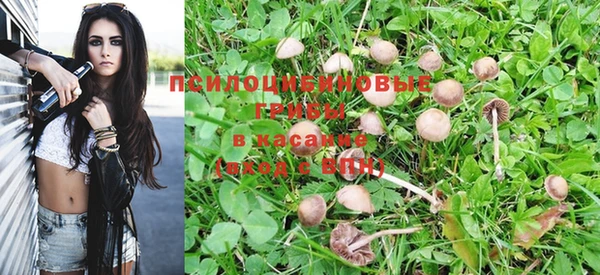 герыч Семилуки