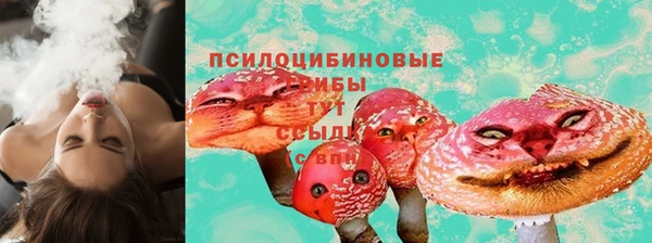 амф Белокуриха
